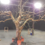 remembertreebranchedweb