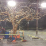 remembertreetwiggedweb