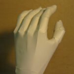 stellanapoleonhand1aweb