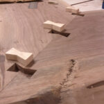 woodbowtieroughinweb